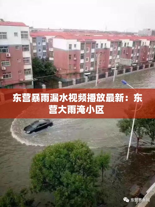 东营暴雨漏水视频播放最新：东营大雨淹小区 