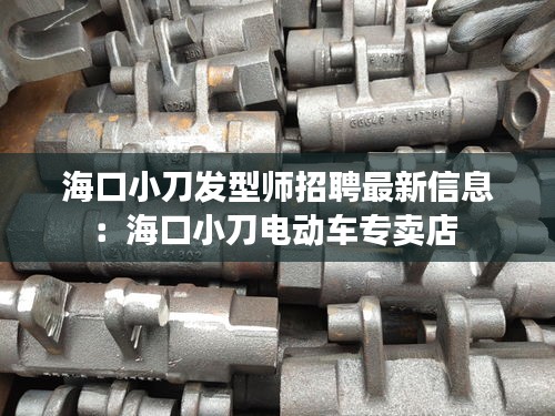 海口小刀发型师招聘最新信息：海口小刀电动车专卖店 