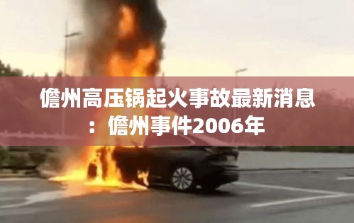 儋州高压锅起火事故最新消息：儋州事件2006年 