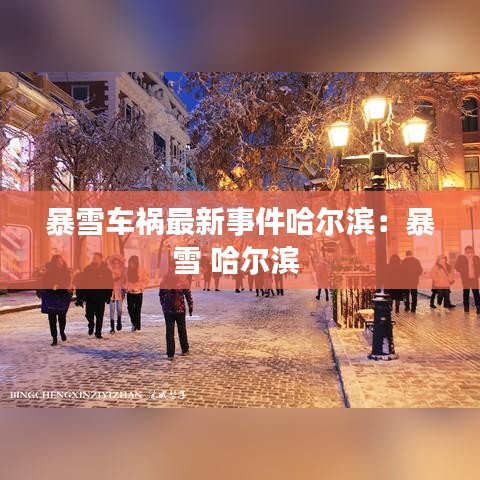 暴雪车祸最新事件哈尔滨：暴雪 哈尔滨 