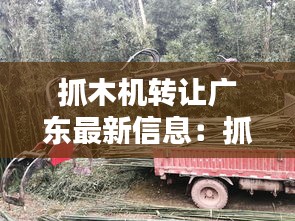 抓木机转让广东最新信息：抓木机大全 