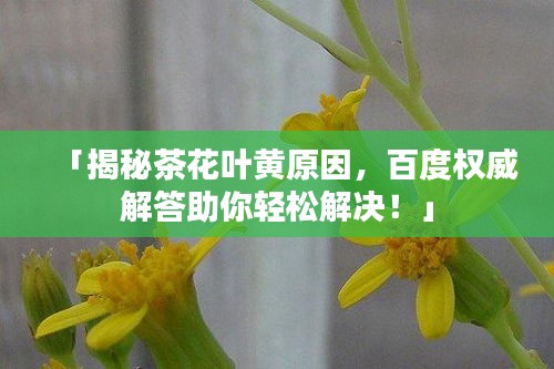 「揭秘茶花叶黄原因，百度权威解答助你轻松解决！」