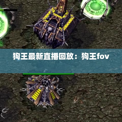 狗王最新直播回放：狗王fov 