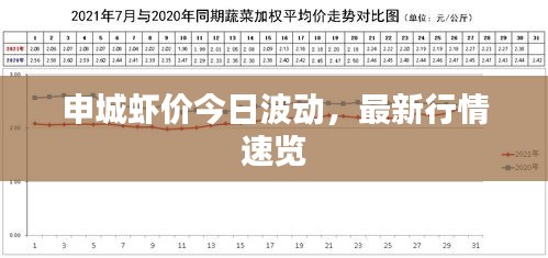 申城虾价今日波动，最新行情速览