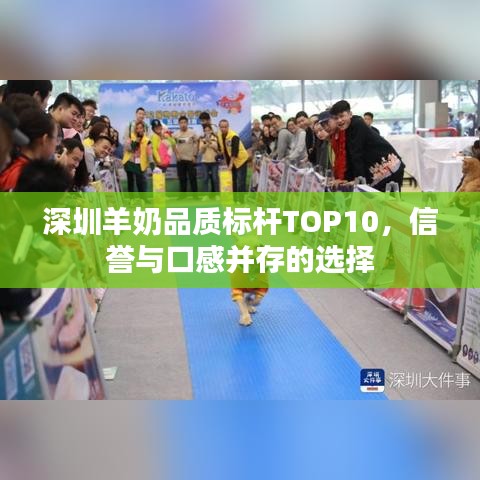 深圳羊奶品质标杆TOP10，信誉与口感并存的选择