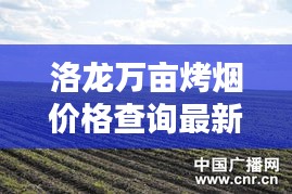 洛龙万亩烤烟价格查询最新：洛龙万亩烤烟价格查询最新表 