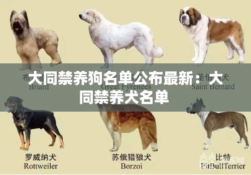 大同禁养狗名单公布最新：大同禁养犬名单 