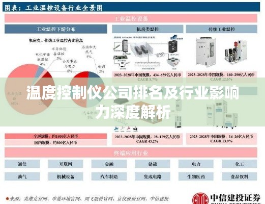 温度控制仪公司排名及行业影响力深度解析