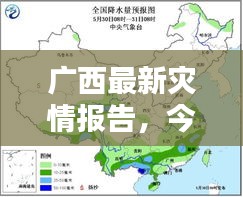 广西最新灾情报告，今日灾况速览