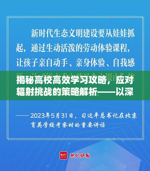 揭秘高校高效学习攻略，应对辐射挑战的策略解析——以深层辐射为例