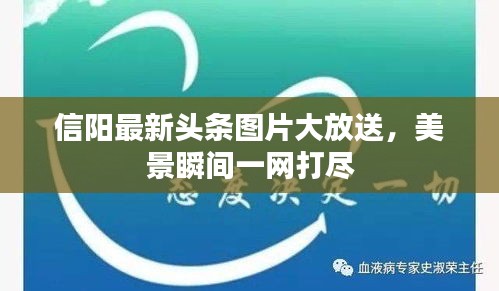 信阳最新头条图片大放送，美景瞬间一网打尽