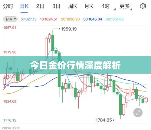 今日金价行情深度解析