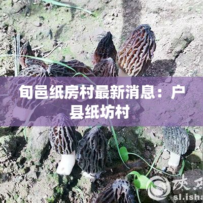 旬邑纸房村最新消息：户县纸坊村 