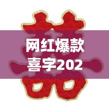 网红爆款喜字2024最新款全套：喜字喜字 