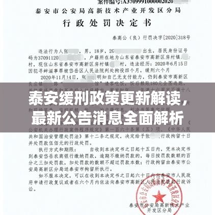 泰安缓刑政策更新解读，最新公告消息全面解析