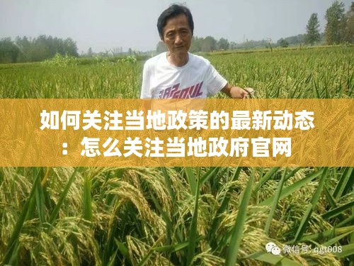 如何关注当地政策的最新动态：怎么关注当地政府官网 