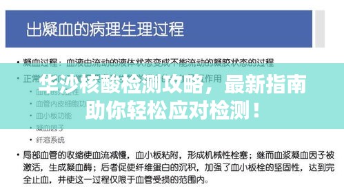 华沙核酸检测攻略，最新指南助你轻松应对检测！