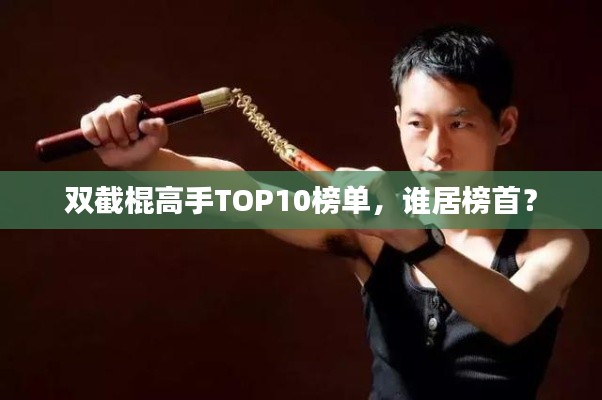 双截棍高手TOP10榜单，谁居榜首？