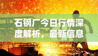 石钢厂今日行情深度解析，最新信息一网打尽！