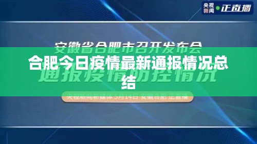 合肥今日疫情最新通报情况总结