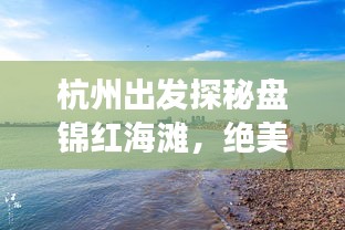 杭州出发探秘盘锦红海滩，绝美海滨旅游攻略