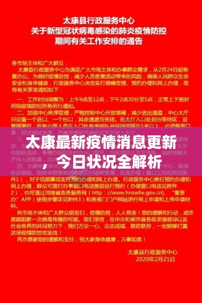 太康最新疫情消息更新，今日状况全解析