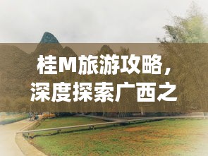 桂M旅游攻略，深度探索广西之美