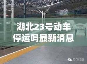 湖北23号动车停运吗最新消息：湖北高铁停运通知最新通知 