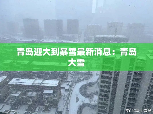 青岛迎大到暴雪最新消息：青岛 大雪 