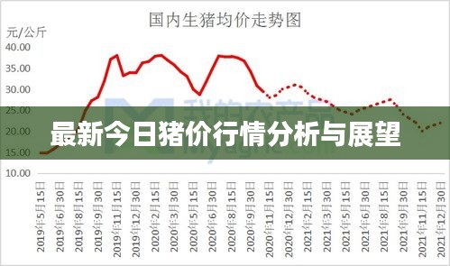 最新今日猪价行情分析与展望