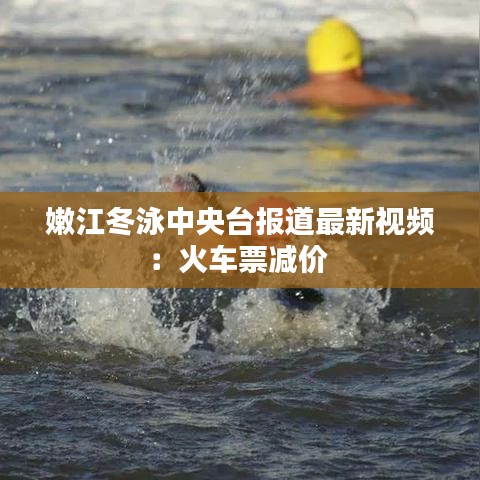 嫩江冬泳中央台报道最新视频：火车票减价 