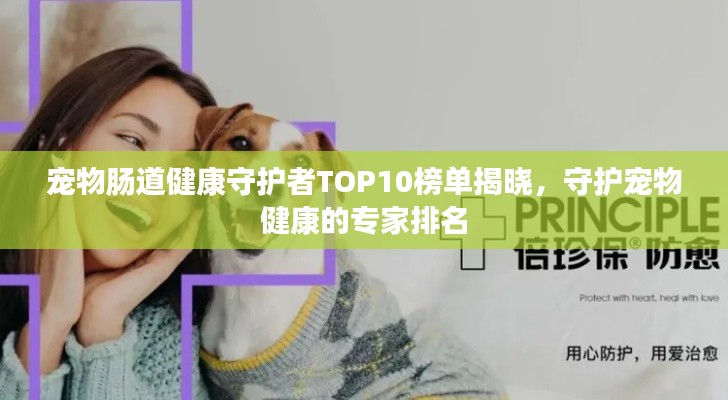 宠物肠道健康守护者TOP10榜单揭晓，守护宠物健康的专家排名