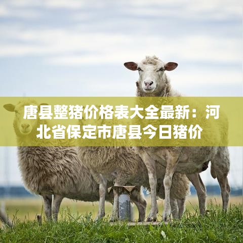 唐县整猪价格表大全最新：河北省保定市唐县今日猪价 