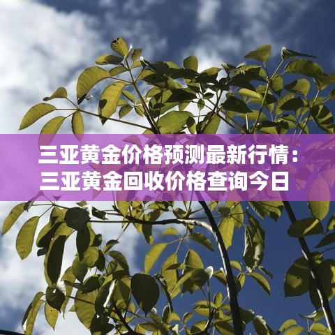 三亚黄金价格预测最新行情：三亚黄金回收价格查询今日 