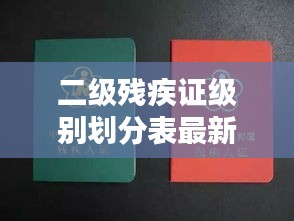 二级残疾证级别划分表最新：二级残疾证2021年有什么政策 