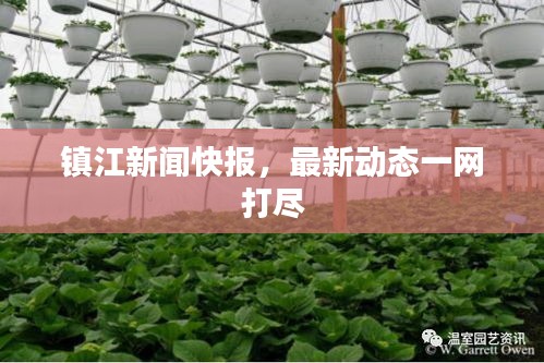 镇江新闻快报，最新动态一网打尽