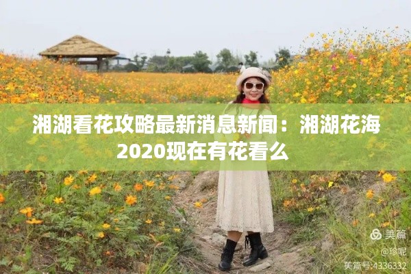 湘湖看花攻略最新消息新闻：湘湖花海2020现在有花看么 