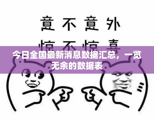 今日全国最新消息数据汇总，一览无余的数据表