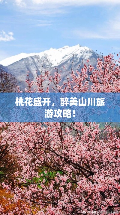 桃花盛开，醉美山川旅游攻略！