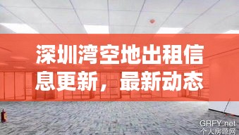 深圳湾空地出租信息更新，最新动态一网打尽