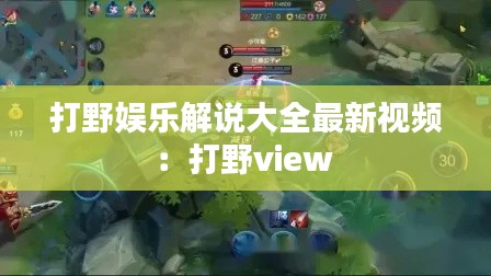 打野娱乐解说大全最新视频：打野view 