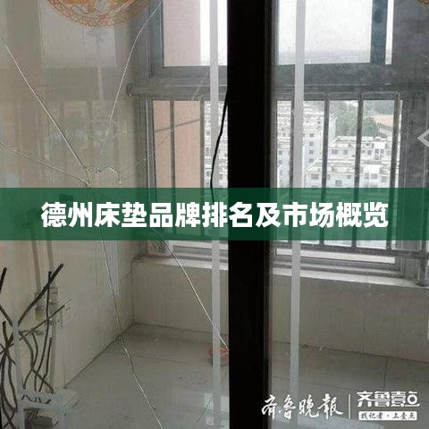 德州床垫品牌排名及市场概览