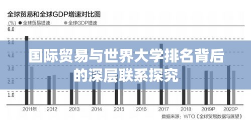 国际贸易与世界大学排名背后的深层联系探究