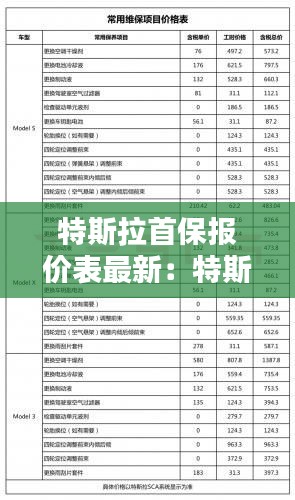 特斯拉首保报价表最新：特斯拉首次保养 