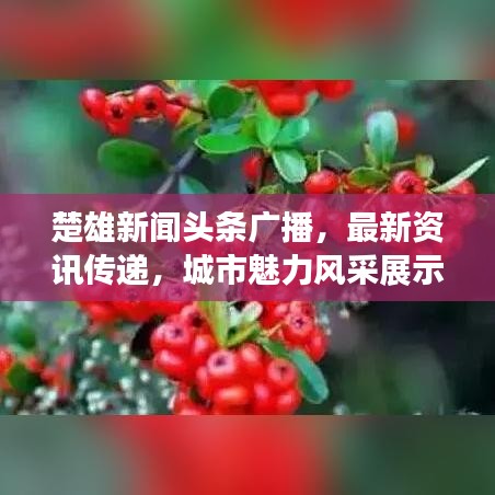 联系我们﻿﻿ 第61页