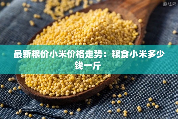 最新粮价小米价格走势：粮食小米多少钱一斤 