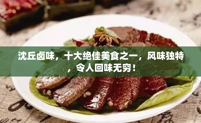 沈丘卤味，十大绝佳美食之一，风味独特，令人回味无穷！