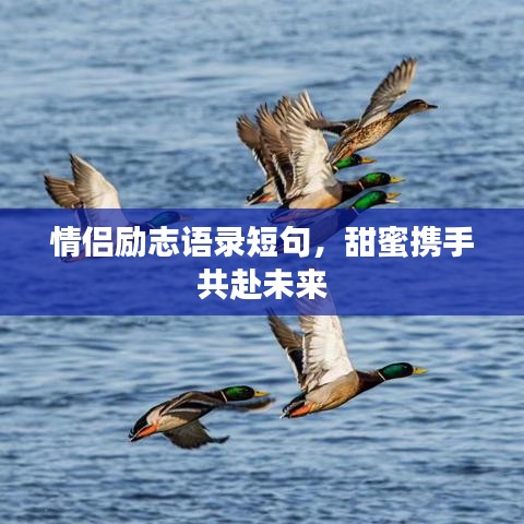 情侣励志语录短句，甜蜜携手共赴未来