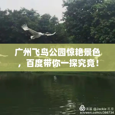 广州飞鸟公园惊艳景色，百度带你一探究竟！