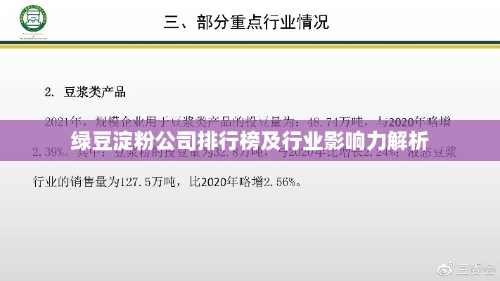 绿豆淀粉公司排行榜及行业影响力解析